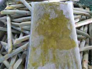 ไม้ปอกเปลือกและทำความสะอาดทำจากอ้อยแช่แข็งคุณภาพส่งออกของเวียดนามที่อุดมไปด้วยความหวานตามธรรมชาติและรสชาติที่สดใหม่ - Product Image 5