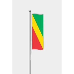 Custom 3x5ft Outdoor Vertical Congo Pennant <b>Flag</b> Digital Printing Aluminum Fiberglass <b>Pole</b> Silk Polyester Material Custom Logo - Product Image 1