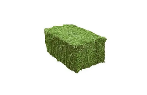 Foin Alfafa de qualité supérieure pour l'alimentation des animaux Foin de luzerne Foin de Timothy Prix réduit - Product Image 4