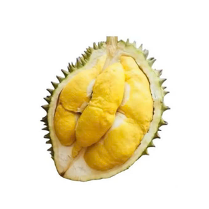 Vietnam congelado Durian IQF Durian Pulpa de carne trozos de Durian congelados para aplicaciones de postres de batidos Distribución de exportación - Product Image 2