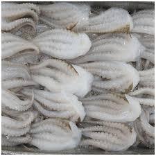 Pulpo Congelado de Alta Calidad, Estilo Seco Grande, Empaquetado en Caja, 2 Años de Vida Útil, Precio Atractivo, de Austria para Exportación - Product Image 5