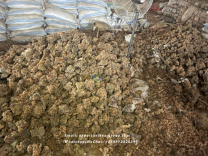 Poudre de gomme arabique d'acacia biologique naturelle Épaississant sans danger pour les aliments biologiques Gomme arabique séchée crue du Sénégal emballée en rouleaux - Product Image 6