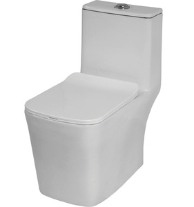 Inodoro Premium de hecho una pieza de cerámica esmaltada con altura cómoda y descarga potente 2025 - Product Image 2