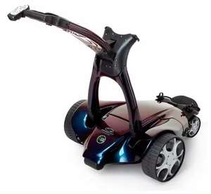 Golf-X9สจ๊วตแบบดั้งเดิมตาม-ลายเซ็นรถเข็นไฟฟ้าคุณภาพสูง - Product Image 1