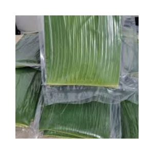 <b>Fresh</b> Natural <b>Banana</b> Leaves for Food Wrapping Packaging Restaurant Bulk Supply - Product Image 1