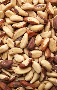 Raw Brazil <b>Nut</b> <b>Kernels</b> Shelled Midget Size Grade 160-180 per Pound Dried Natural <b>Nut</b> for Cooking For Sale - Product Image 4