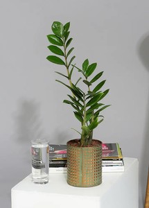 AK laiton nouveau Design Pots de fleurs en métal décoration de maison et de jardin jardinière avec conception martelée meilleure qualité au meilleur prix - Product Image 6