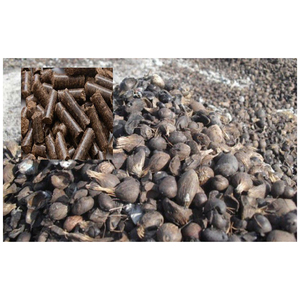 Coquille de noyau de palme à bas prix huile de palme charbon actif industrie du carburant Coquille de noyau de palme sèche pour coque de charbon de bois - Product Image 5