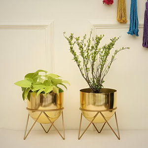 Maceta dorada de la mejor calidad con soporte para la decoración del hotel del restaurante del hogar a un precio asequible de la India - Product Image 6