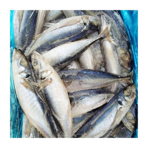 Selección superior de pescado Kwi Kwi congelado, ofrecido a precio de descuento para compradores comerciales a gran escala. - Product Image 4