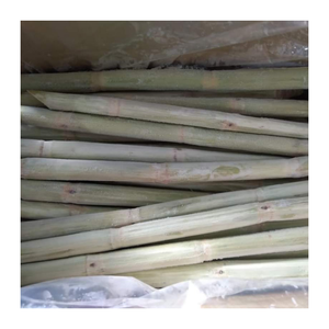 Bâtonnets de canne à sucre congelés prêts à l'exportation-cultivés de manière durable au Vietnam et transformés selon les normes mondiales - Product Image 4
