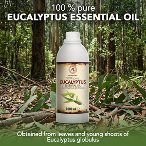 Aromatika 100% Pure Natural Eucalyptus Essential Oil 1000ml Eucalyptus Globulus Aromatherapy Oil - Product Image 1