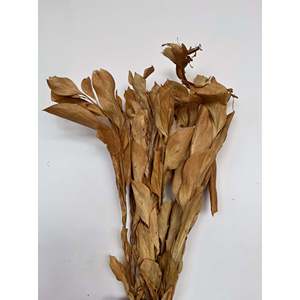 Flores Secas de Ruskus - Product Image 1
