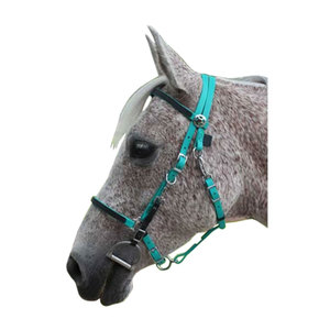 Brida de PVC de caballo inglés ecuestre al por mayor de alta calidad, accesorios personalizados de varios colores de cuero genuino - Product Image 4