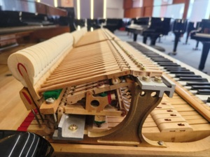 Piano de cola Kawai KG3C en excelentes condiciones, entrega rápida, acabado elegante original, teclas suaves, Japón, 88 teclas - Product Image 3