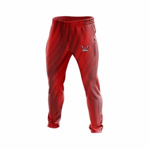 Nuevo estilo para hombre, chándales de entrenamiento para correr en el gimnasio, conjunto de chaqueta y joggers de 2 piezas, ropa deportiva estampada para exteriores - Product Image 3