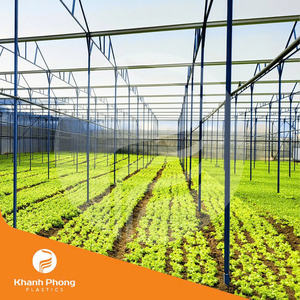 Modern <b>Greenhouse</b> Film For Vegetable And Fruit Cultivation Ensuring Stable Growth With Excellent Moisture Retention - Product Image 6