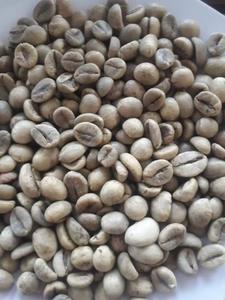 Café vert Robusta de qualité supérieure, 100% naturel et pur, meilleur prix d'usine, achetez maintenant ! - Product Image 5