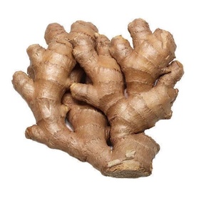 Jengibre a granel a la venta Jengibre fresco de la mejor calidad en grandes cantidades disponibles para venta al por mayor y exportación - Product Image 5