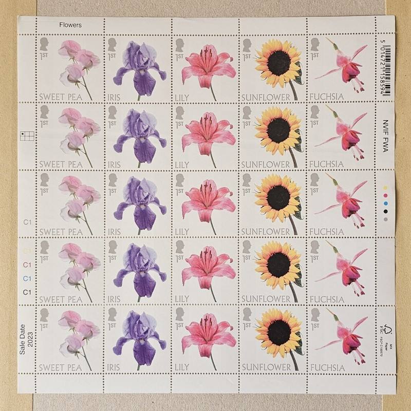 UK 25 1ST Lily Tournesol