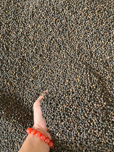 Poivre noir vietnamien-Produit d'épices d'exportation certifié conforme aux normes internationales et à l'excellence/Mme Lima - Product Image 3