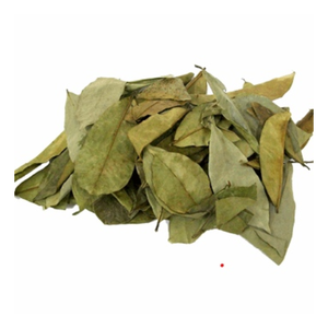 ARTÍCULO CALIENTE HOJAS DE GRAVIOLA/HOJAS DE SOURSOP SECAS/EL MEJOR INGREDIENTE PARA EL TÉ DE ASIA A PRECIO COMPETITIVO - Product Image 3