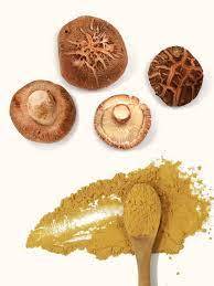 100% เห็ดหอมสมุนไพรแบบผงซิปบรรจุแบบธรรมชาติ - Product Image 5