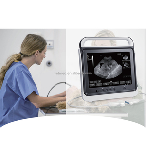 Pt50a पशु बकरी के लिए एक पशु बकरी घोड़ा पशु बकरी घोड़ा पशु पशु चिकित्सा अल्ट्रासाउंड पोर्टेबल - Product Image 4