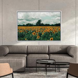 Printed Canvas Artwork: Sunflower Field Nature Landscape Wall Art,WHITE <b>FRAMED</b> CANVAS - Product Image 1