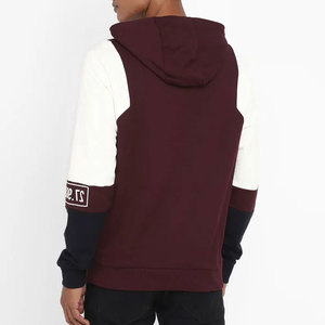 Meilleur design Sweats à capuche à manches longues légers pour hommes Street Wear Style Polyester/coton de haute qualité pour l'hiver Dernier prix - Product Image 4
