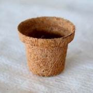 Ecocoir ถ้วยต้นกล้าเป็นมิตรกับสิ่งแวดล้อมถาดหม้อสำหรับการปลูกต้นกล้า - Product Image 4