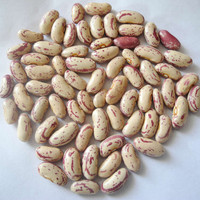 Haricots pinto séchés Meilleur prix Haricots rouges tachetés