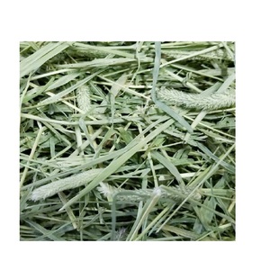 Foin de Timothy en vrac de qualité supérieure, bon marché, pour chevaux et bovins, origine américaine, qualité A, durée de conservation de 1 an - Product Image 6