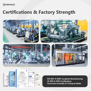 Özel proses senaryolarında satılık endüstriyel sınıf CNG kompresör - Product Image 5