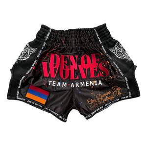 Pantalones Cortos de Boxeo MMA para Niños al por Mayor Personalizados para Entrenamiento de Muay Thai y Kickboxing - Ligeros, Transpirables y de Secado Rápido - Product Image 1