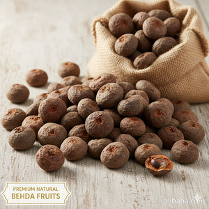 Myrobalán Bastardo, Fruta Seca al Sol, Ácido Tánico, Ácido Chebulágico, Ácido Gálico, Región Montañosa, Maharashtra Occidental, India, SPDK Agrosphere - Product Image 2