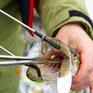 Pinces hémostatiques incurvées Pinces à épiler de verrouillage en acier inoxydable Instruments médicaux Pince hémostatique polyvalente pour infirmières - Product Image 3