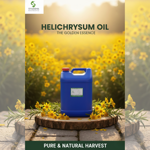 น้ำมันสกัด Helichrysum เกรดพรีเมี่ยม (น้ำมันหอมระเหยบริสุทธิ์100%) สำหรับผู้ซื้อ B2B-OEM/ODM/Private LABEL การจัดหาจำนวนมาก - Product Image 4