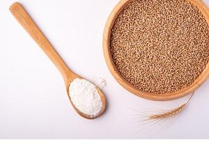 แป้งสาลีจากประเทศไทย - Product Image 1