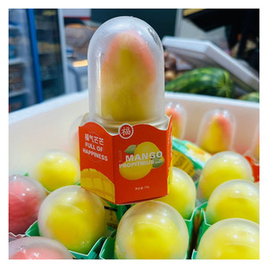 Helado de Vainilla Frukti de 75g, Buena Venta, Mejor Calidad, Postre Congelado, Precio de Fábrica, Proveedor de Dulces, Exportación al por Mayor - Product Image 5