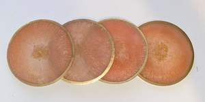 ชุดรองแก้วทำจากยางเรซินที่มีเอกลักษณ์มีรูปแบบนางฟ้า - Product Image 3