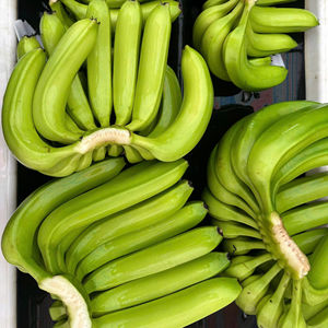 Plátanos Cavendish frescos de alta calidad, gran volumen de exportación a Asia/Oriente Medio - Product Image 1