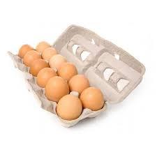 ไข่ไก่สำหรับฟักไข่ไก่เนื้อ500 308 - Product Image 2