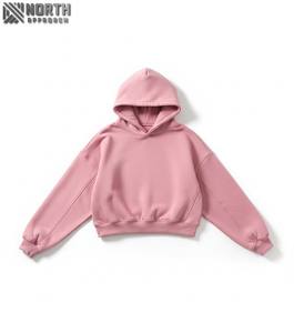 Offre Spéciale sweat à capuche personnalisé femmes haute qualité sweats à capuche pour femmes à la mode 450 gsm sweat à capuche - Product Image 1