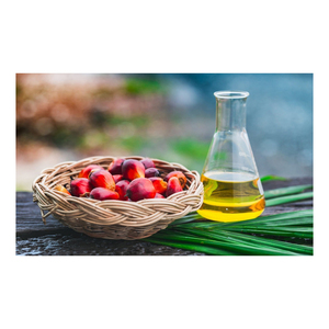 Aceite de Palma orgánico refinado de Grado Superior 100% puro para cocinar alimentos Envasado a granel saludable a precio económico Fabricante directo - Product Image 6