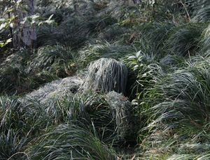 KANGO ghillie tuta mimetica <span class=keywords><strong>da</strong></span> cecchino, tuta <span class=keywords><strong>da</strong></span> caccia mimetica abbigliamento per bambini kamuflaj keskin nisanci ghillie takim elbise - Product Image 6