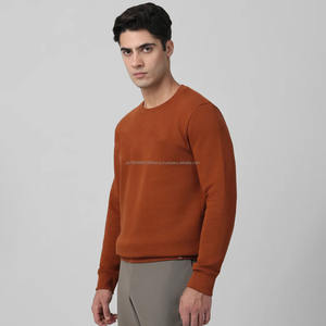 Pull en éponge française d'hiver de haute qualité pour hommes, épaule tombante en coton uni personnalisé avec logo en relief 3D, sweat-shirt ras du cou ODM - Product Image 2