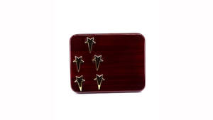 Plaque d'entreprise 5 étoiles de dernière conception faite à la main pour les récompenses de Long Service exportation mondiale depuis l'inde - Product Image 2