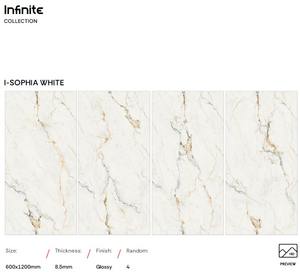 Carreaux de sol en porcelaine polie grand format intérieur 600 x 1200 mm 10 mm pour la maison, le salon, les hôtels, les salles de sport, la salle de bain, la cour - Product Image 2