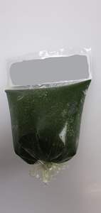 Vietnam feuilles de manioc congelées 18 paquets 2Lbs feuille de manioc congelée pour l'industrie tambour de feuille de manioc moulu 200kgs ANGLE - Product Image 3